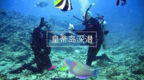 寻找古代宝藏